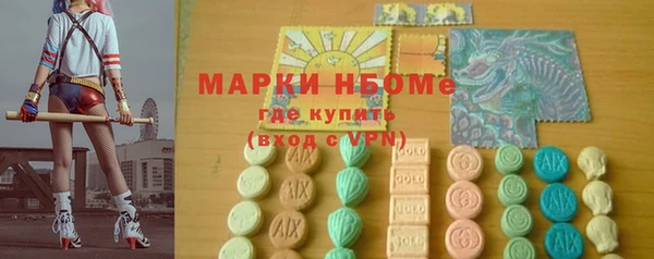 индика Армянск