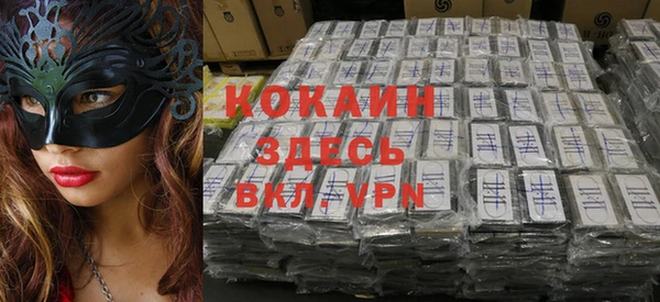 индика Армянск