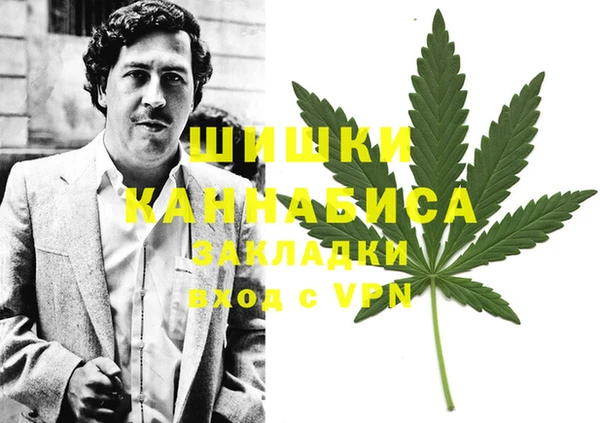 индика Армянск